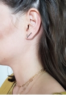 Изображение V  Earrings  with black diamonds