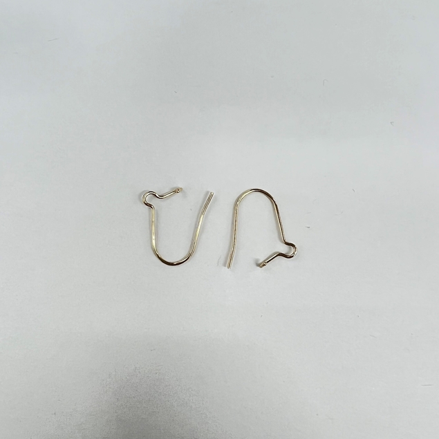 Picture of Kidney Earwire