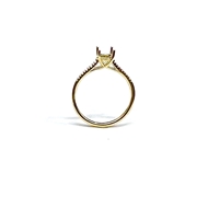 Picture of Cathedral Ring Settings