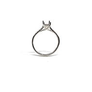 Picture of Cathedral Ring Settings